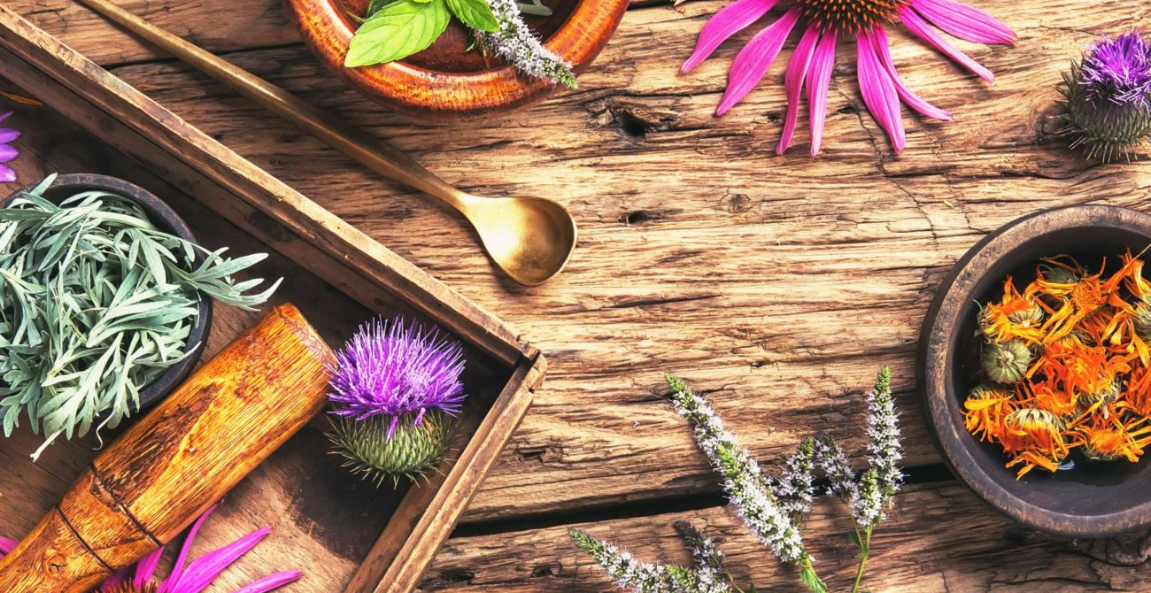herbal medicinal herbs and plant 1300x670 1